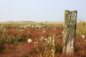 Ameland het Oerd