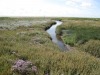 Slenk op Ameland