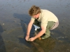 lijntje met haken op het wad